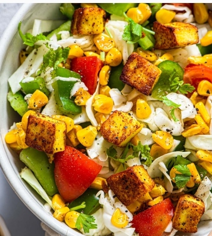 Yummy Paneer Vegetable Salad Recipe